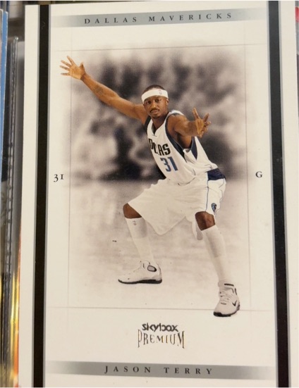 2004-05 SkyBox Premium #31 Jason Terry — front