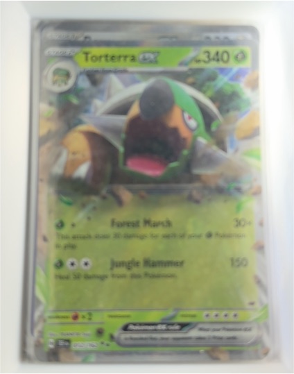 2024 Pokémon SV05: Temporal Forces #012 Torterra ex — front