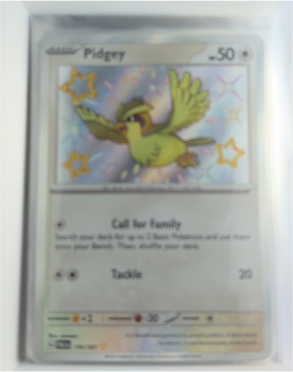 2024 Pokémon Scarlet & Violet Paldean Fates #196 Pidgey — front