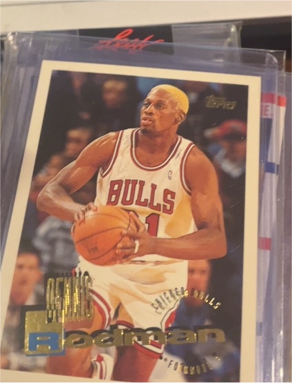 1995-96 Topps #227 Dennis Rodman — front