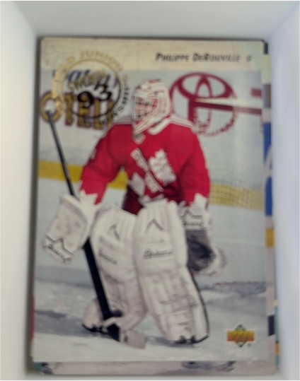 1993-94 Upper Deck #260 Philippe DeRouville — front