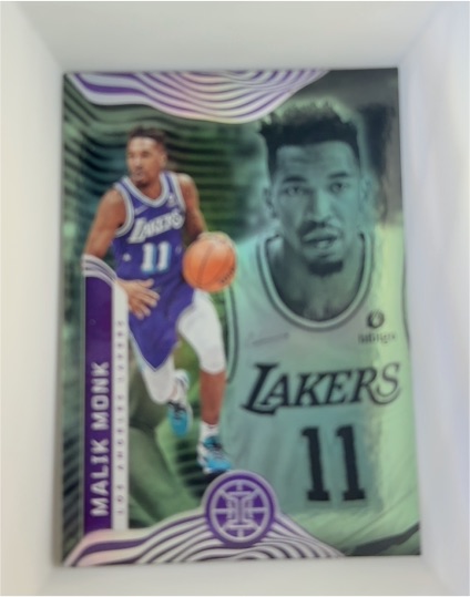2021-22 Panini Illusions #100 Malik Monk — front