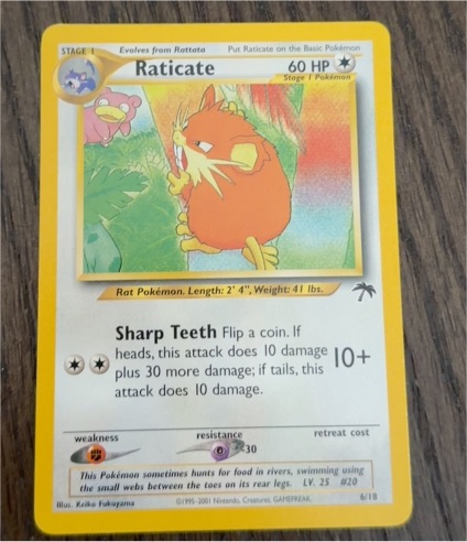 2001 Pokémon Southern Islands #6 Raticate — front