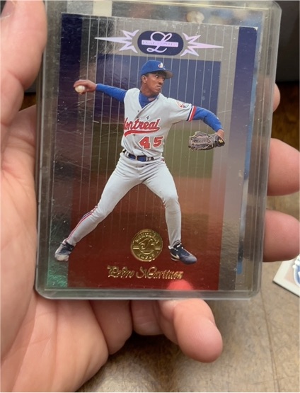 1996 Leaf Limited #59 Pedro Martinez — front