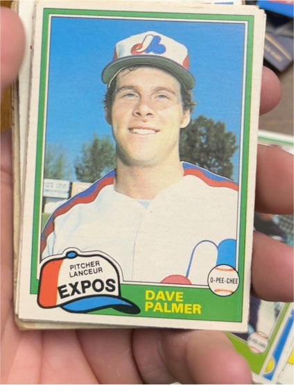 1981 O-Pee-Chee #243 Dave Palmer — front