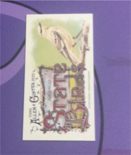 2025 Topps Allen & Ginter #SB-27 Western Meadowlark State Birds Mini — front