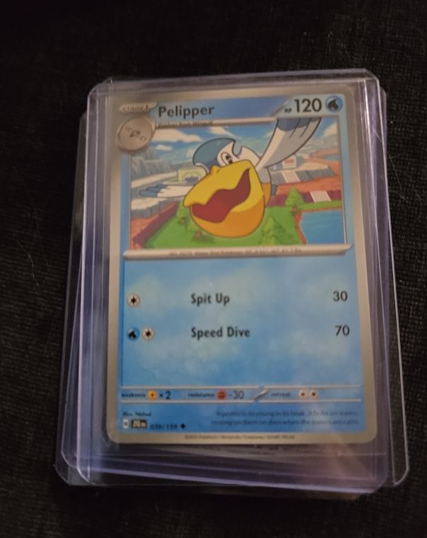 2023 Pokémon Journey Together #039 Pelipper — front