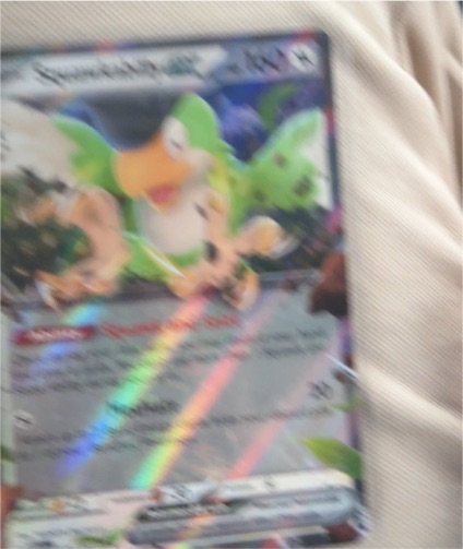 2023 Pokémon TCG Paldea Evolved #169 Squawkabilly ex — front