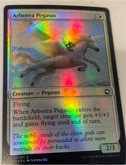 2021 Wizards of the Coast Arborea Pegasus #002 — front