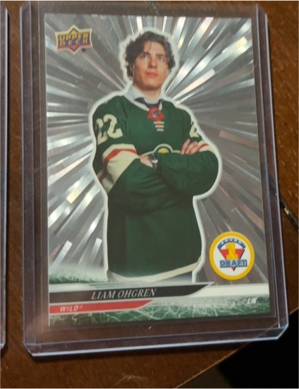 2024-25 Upper Deck Extended Series #740 Liam Ohgren — front