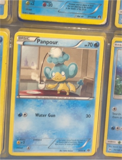 2012 Pokémon Next Destinies #28 Panpour — front
