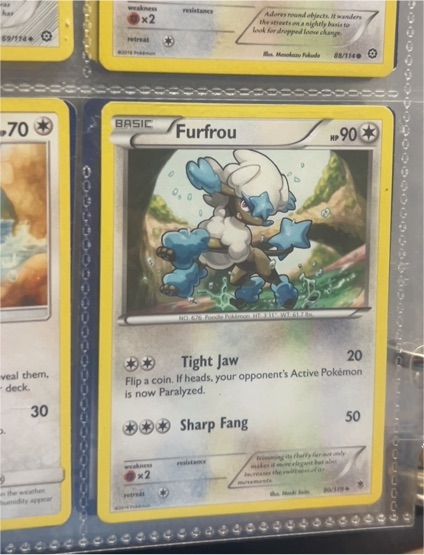 2016 Pokemon XY Steam Siege #80 Furfrou — front