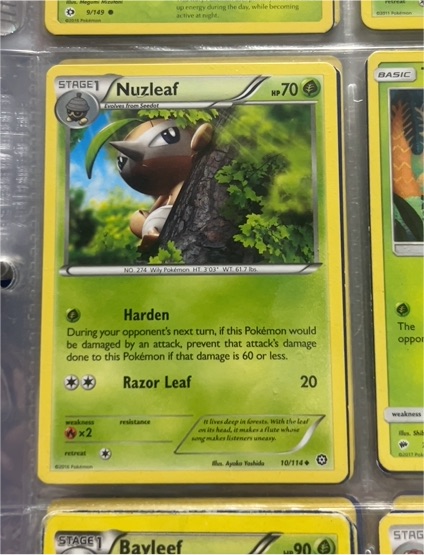 2016 Pokémon XY Steam Siege #10 Nuzleaf — front