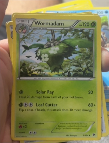 2016 Pokemon Fates Collide #3 Wormadam — front