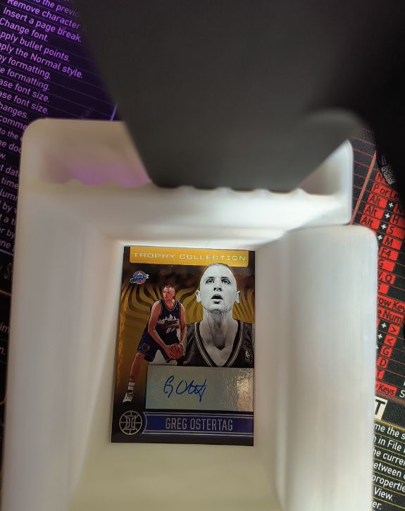 2020-21 Panini Illusions Trophy Collection #TC-GO Greg Ostertag — front