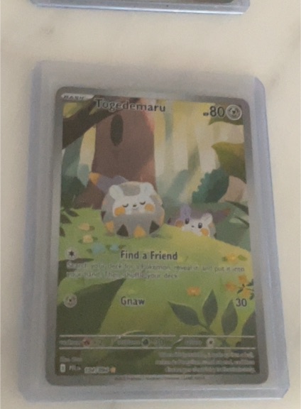 2025 Pokémon TCG Mega Evolution Phantasmal Flames #104 Togedemaru — front