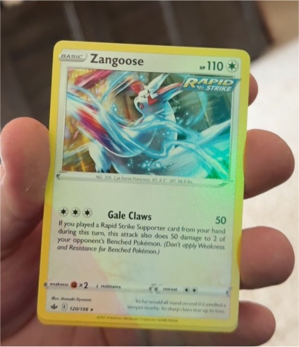 2021 Pokémon Chilling Reign #120 Zangoose — front