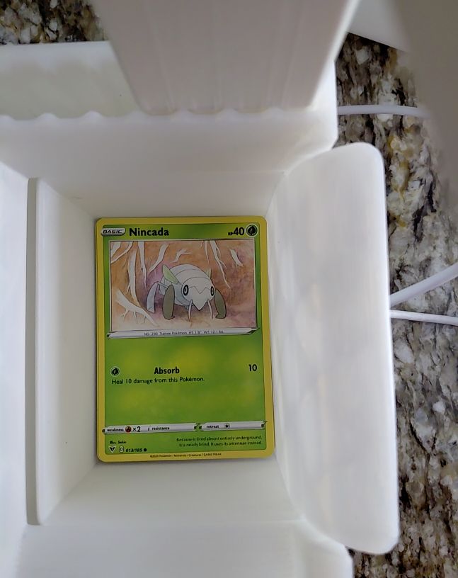 2023 Pokémon #013 Nincada — front
