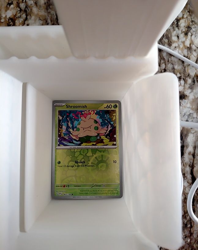 2023 Pokémon SV Base #003 Shroomish — front