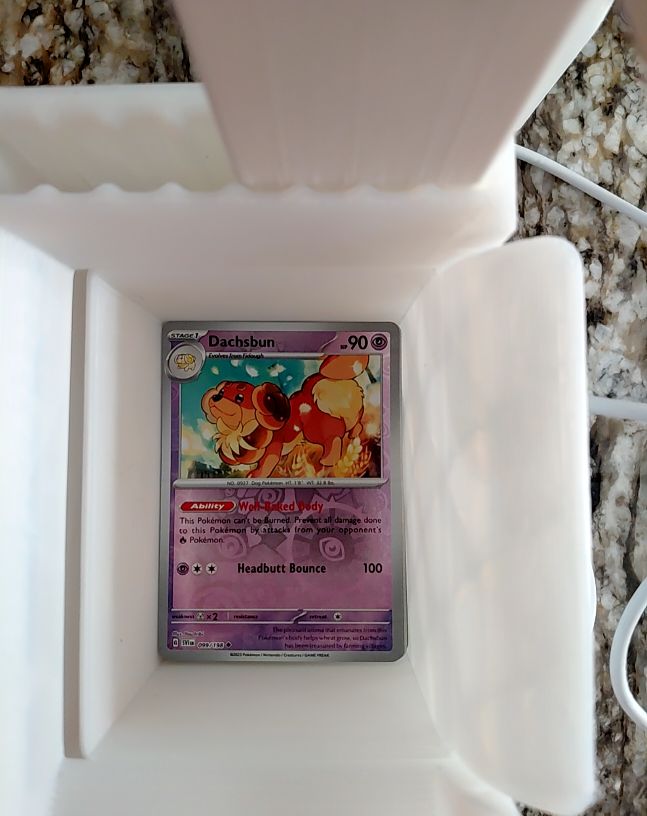 2023 Pokémon Scarlet & Violet 099/198 Dachsbun — front