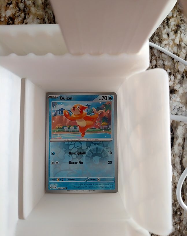 2022 Pokémon Scarlet & Violet #046 Buizel — front