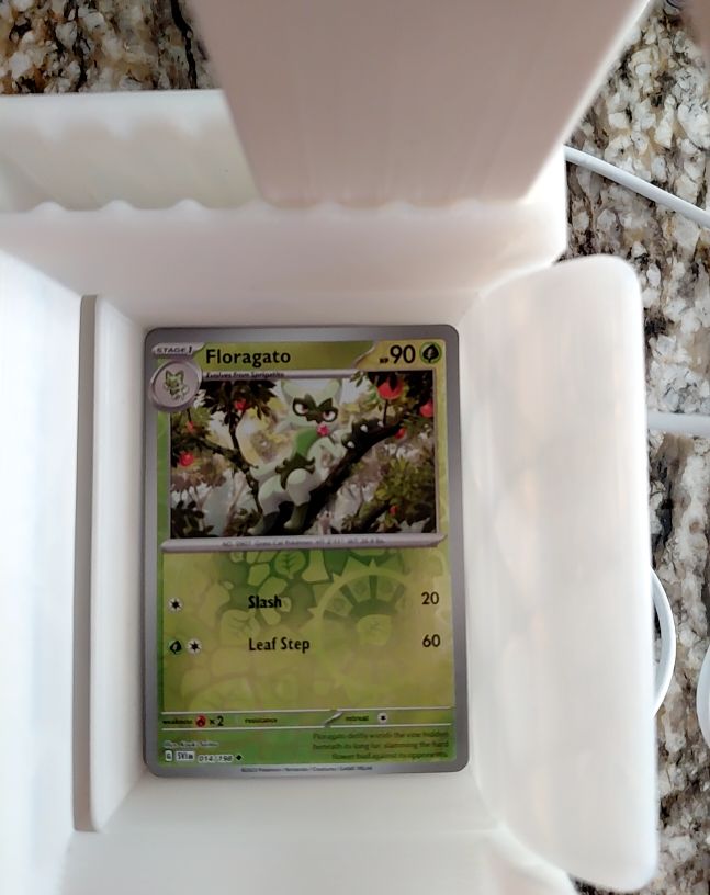 Floragato 014/198 Paldea Evolved Pokémon TCG — front