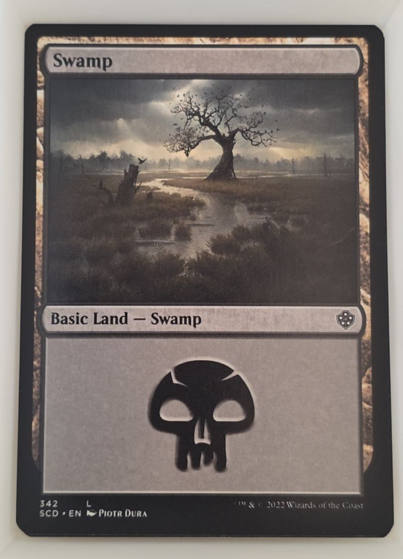 2022 Magic: The Gathering #342 Swamp — front