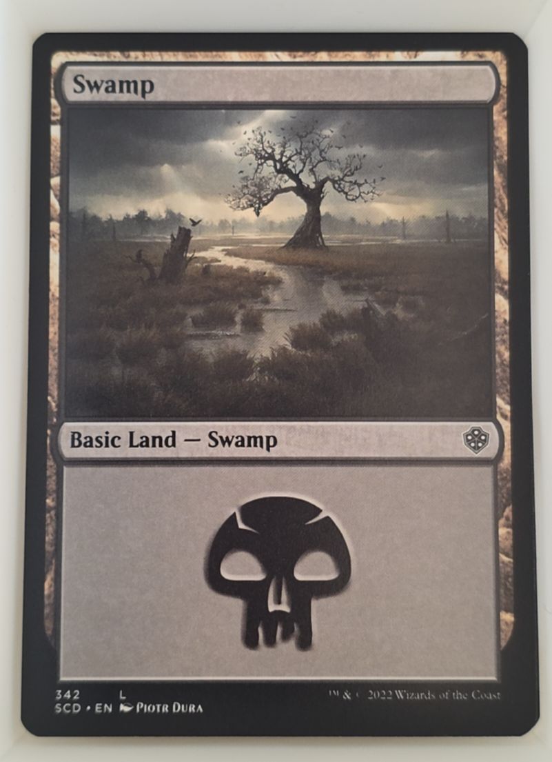 2022 Magic: The Gathering #342 Swamp — front