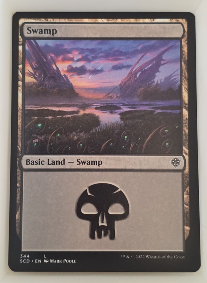 2022 Magic The Gathering Swamp #344 — front