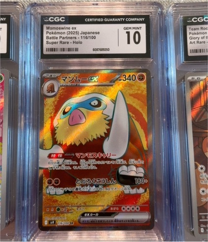 2025 Pokémon #116 Mamoswine ex — front