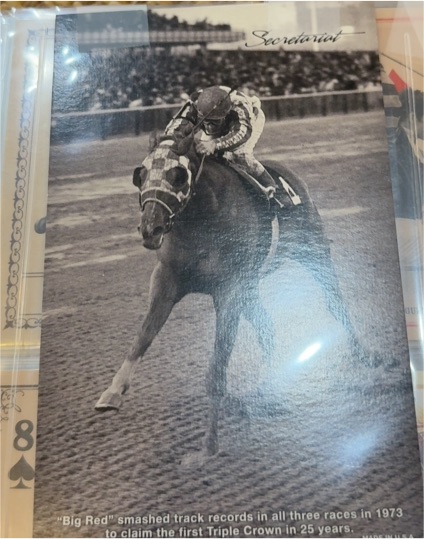 Secretariat Horse Racing Photo 1973 — front