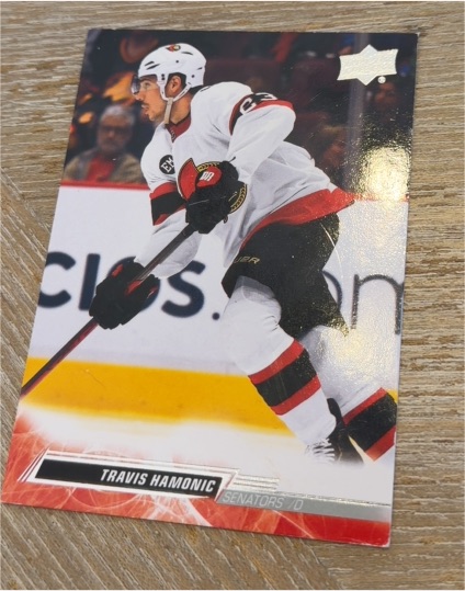 2022-23 Upper Deck Series 2 #376 Travis Hamonic — front