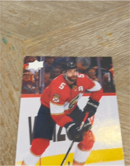2022-23 Upper Deck #328 Florida Panthers Player — front