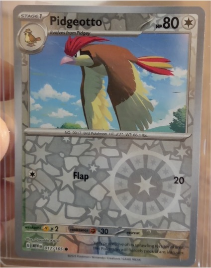 2023 Pokémon Scarlet & Violet 151 #017 Pidgeotto — front