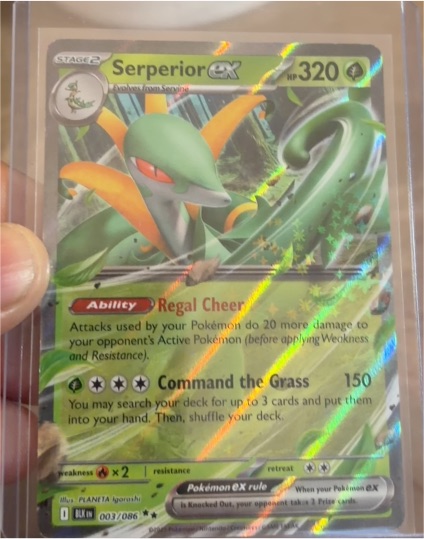 2025 Black Bolt #003 Serperior ex — front