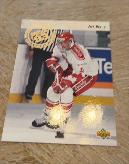 1993-94 Upper Deck #255 Jeff Bes — front