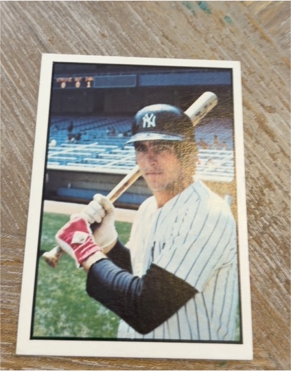 1978 SSPC Championship Season #24 Bucky Dent — front
