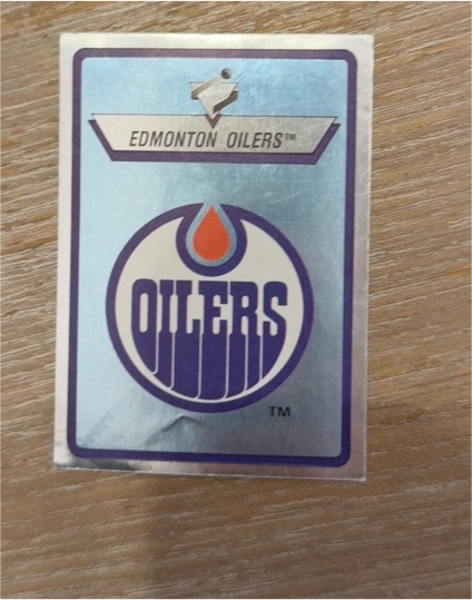 1990-91 Panini #225 Edmonton Oilers — front