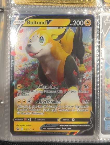 2022 Pokemon TCG Boltund V #SWSH219 — front