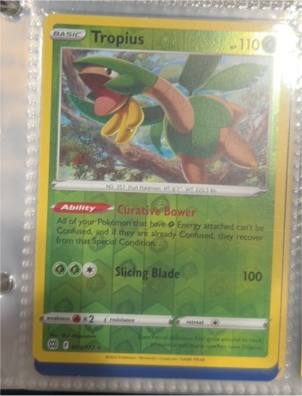 2022 Pokémon Brilliant Stars #005 Tropius — front