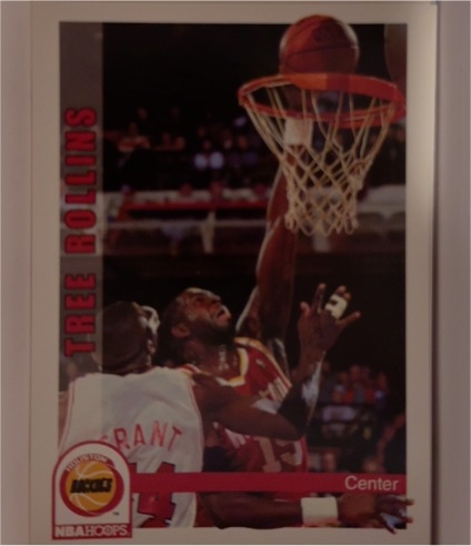 1992-93 Hoops #393 Tree Rollins — front