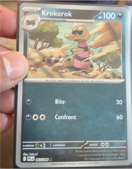 2025 Pokémon ME02: Phantasmal Flames #065 Krokorok — front