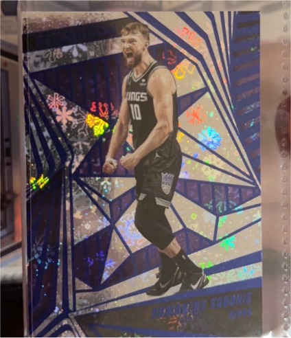 2023-24 Panini Revolution #87 Domantas Sabonis — front