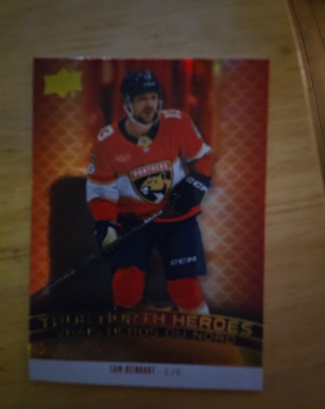 2025-26 Upper Deck Tim Hortons True North Heroes #TNH-4 Sam Reinhart — front
