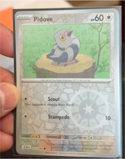 2023 Pokémon SV: Black Bolt #071 Pidove — front