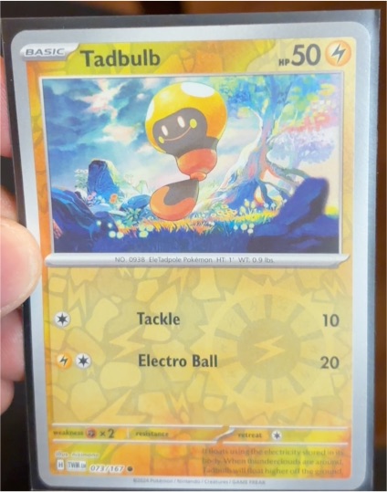 2024 Pokemon SV06: Twilight Masquerade #073 Tadbulb — front