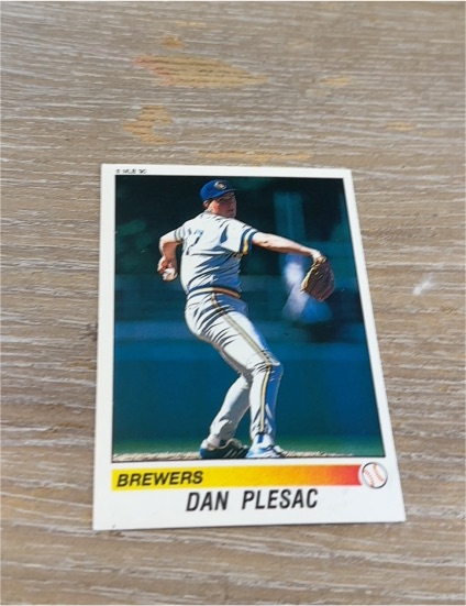 1990 Panini #52 Dan Plesac — front