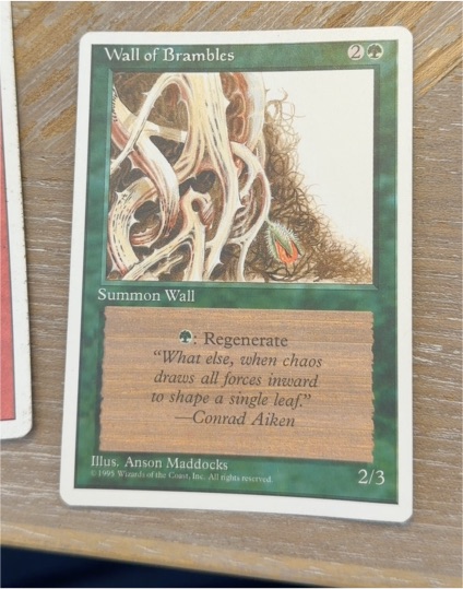 1995 Magic: The Gathering 4th Edition #282 Wall of Brambles — front