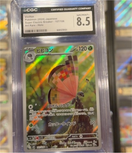 2024 Pokémon #107 Vivillon — front