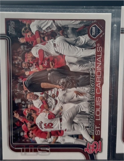 2025 Topps Series 2 #461 St. Louis Cardinals Team Card — front